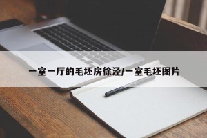 一室一厅的毛坯房徐泾/一室毛坯图片