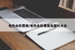 电热水杯费用/电热水杯费用及图片大全