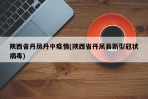 陕西省丹凤丹中疫情(陕西省丹凤县新型冠状病毒)